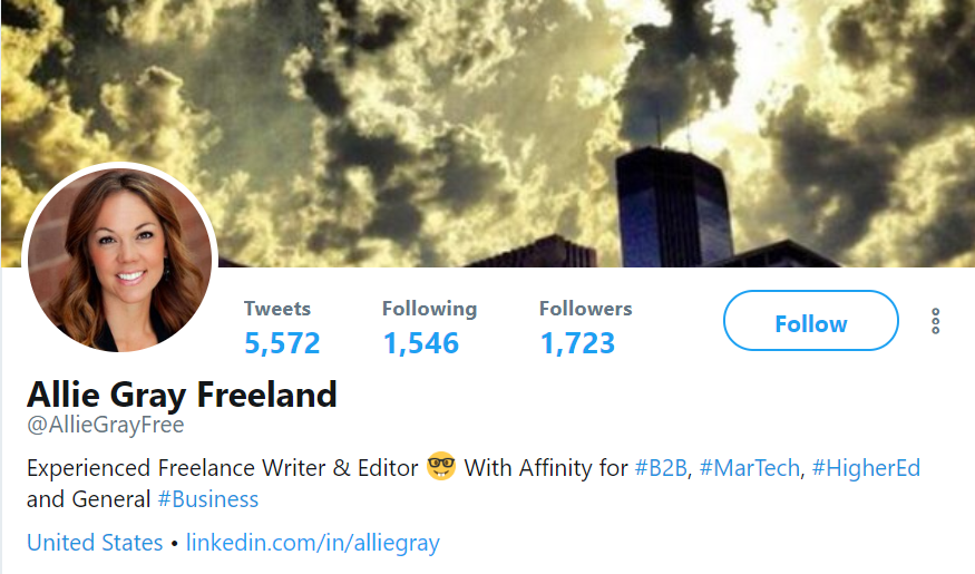 Freelancer Twitter Profile